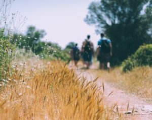 Use a GoPro Hero to record your Camelback Mountain hike thanks to the luxurious Sanctuary on Camelback Mountain Resort & Spa. Camelback Mountain Arizona | Things to do in Arizona | Arizona Travel Deals | Travel Deals | Travel Destinations | Best Places to Travel in Arizona