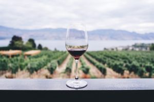 WALT Wines opens a brand new tasting room in the heart of Napa Valley for everyone to enjoy the luxurious flavors and perfect wine pairings. Walt Wines Review | Walt Wine 1000 Miles of Pinot | Walt Wines Oxbow | Walt Wines Napa Tasting Room | Walt Wines Membership