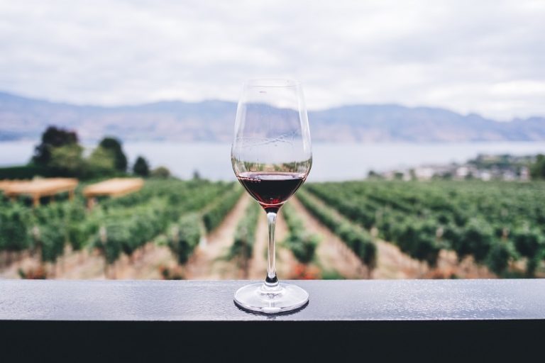 WALT Wines Opens New Tasting Room in Napa Valley