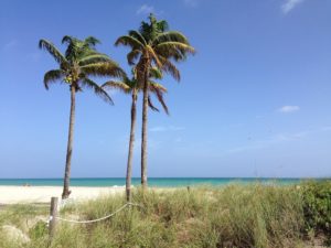 There are beautiful beaches, shopping, dining, family-friendly attractions and unbeatable rates at The Diplomat Beach Resort located in Hollywood, Florida. Travel Tips | Where to Stay in Florida | Vacation Resorts in Florida | Florida Travel Tips | Things to do in Florida #florida #travel