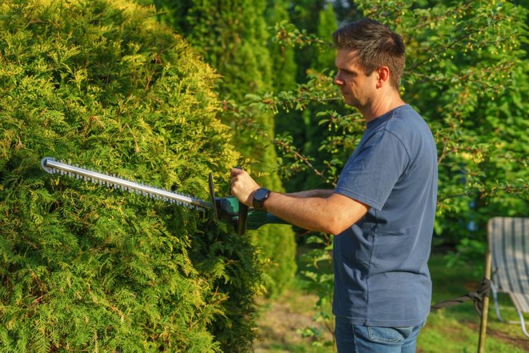 SEO Marketing for Home Service Businesses in Palm City Florida a Man Trimming a Shrub with a Hedge Trimmer